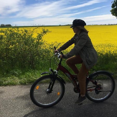 Вилла La Petite France Parnowo Экстерьер фото
