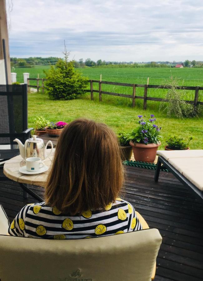 Вилла La Petite France Parnowo Экстерьер фото