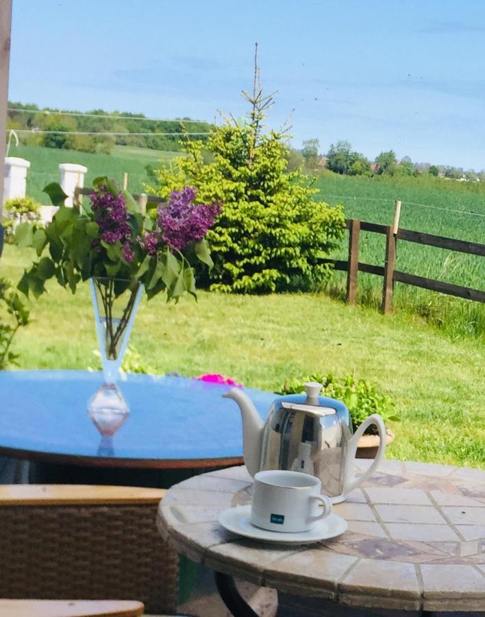 Вилла La Petite France Parnowo Экстерьер фото
